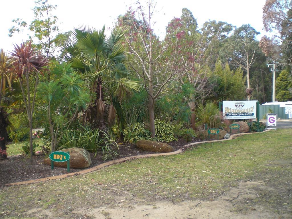 Mallacoota'S Shady Gully Caravan Park Екстер'єр фото