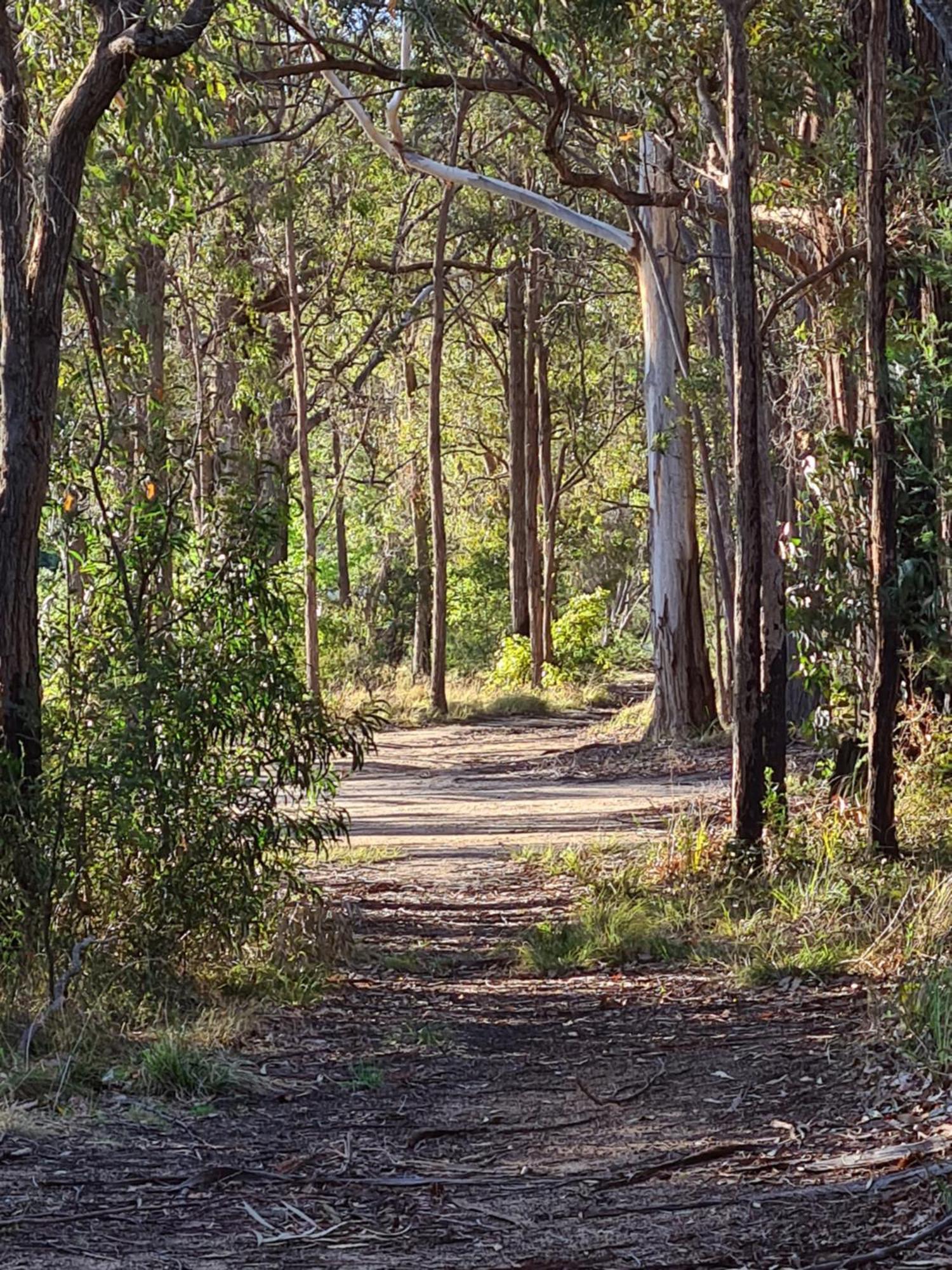 Mallacoota'S Shady Gully Caravan Park Екстер'єр фото